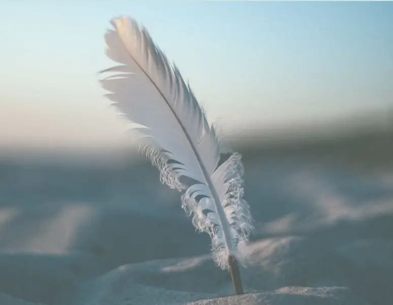 Sarah Sanford Manifest Your Dreams Course